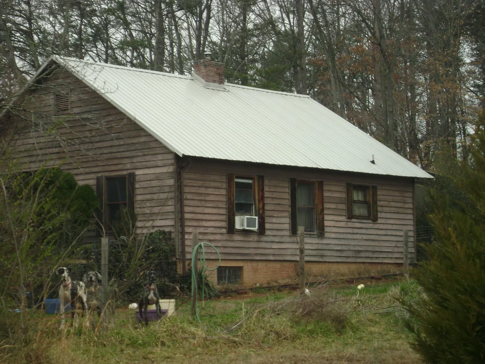 White metal roof on an old wood sided farmhouse, from a Metal Roof Installation job in Pasco
